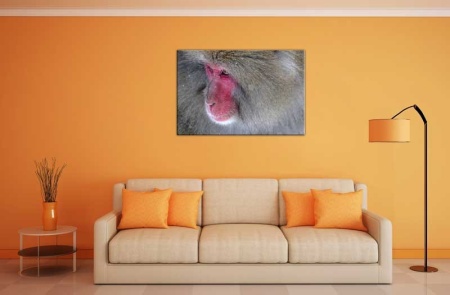 Tablou Canvas Babuin