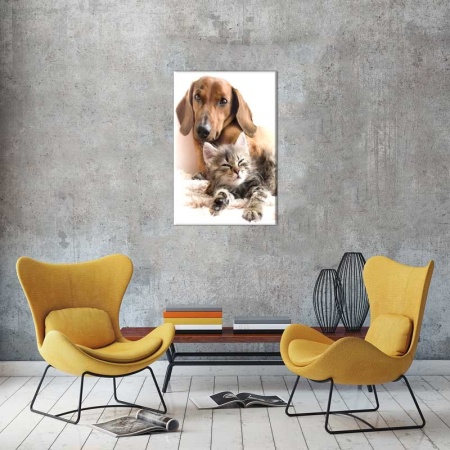 Tablou Canvas Caine si Pisica
