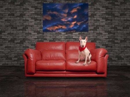Tablou Canvas Cer
