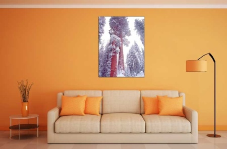 Tablou Canvas Copac cu zapada