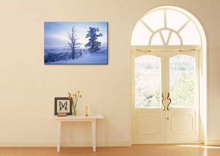 Tablou Canvas Copac in Zapada