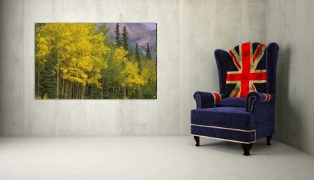 Tablou Canvas Copaci cu frunze galbene