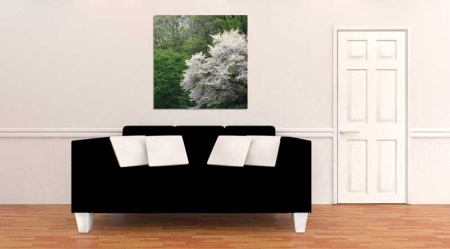 Tablou Canvas Copaci Infloriti
