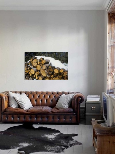 Tablou Canvas Copaci taiati