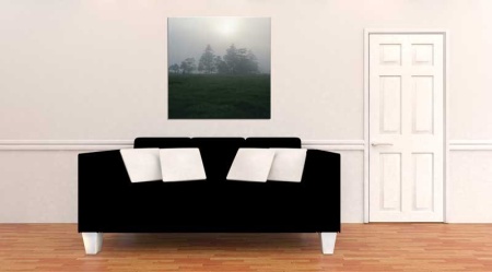 Tablou Canvas Copaci