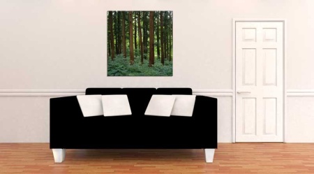 Tablou Canvas Copaci