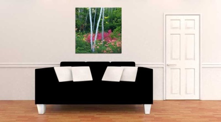 Tablou Canvas Copaci
