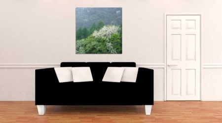 Tablou Canvas Copaci