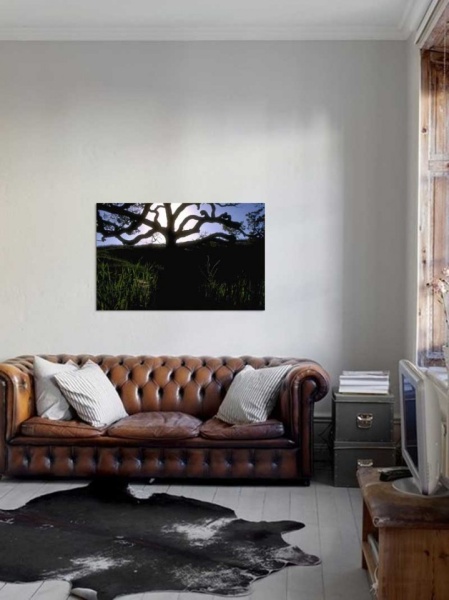Tablou Canvas Copaci