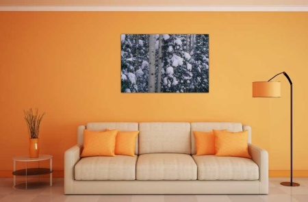 Tablou Canvas Copaci