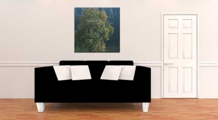 Tablou Canvas Copac