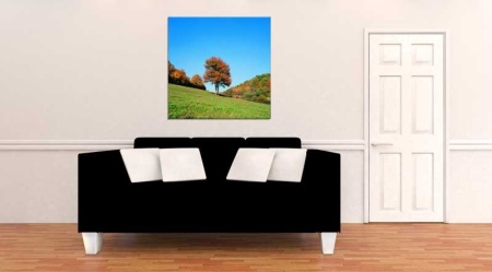Tablou Canvas Copac