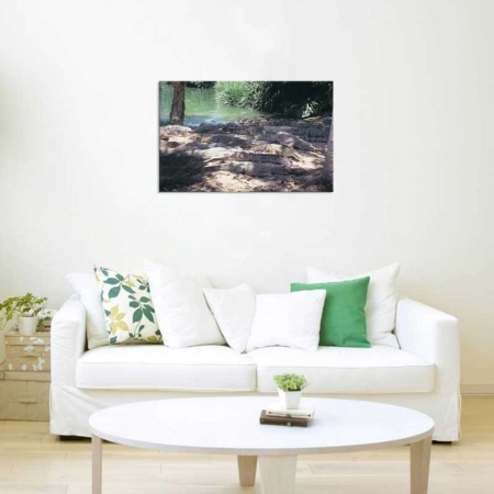 Tablou Canvas Crocodili