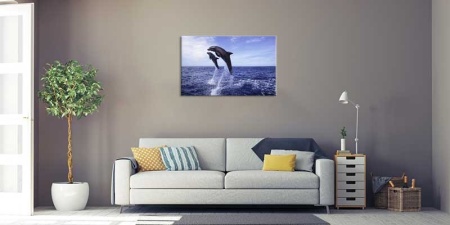Tablou Canvas Delfini