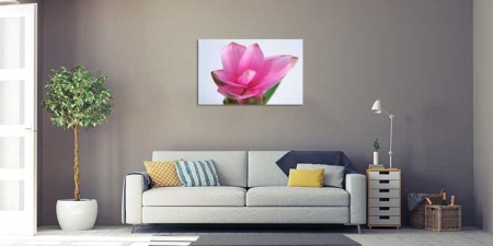 Tablou Canvas Floare