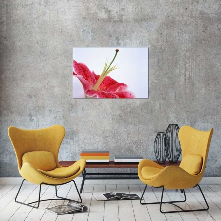 Tablou Canvas Floare
