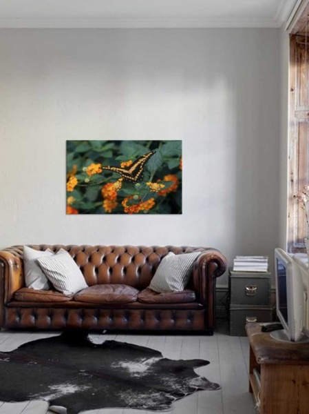 Tablou Canvas Fluturas