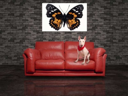 Tablou Canvas Fluturas
