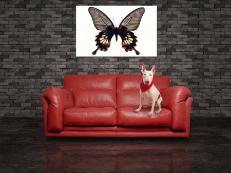 Tablou Canvas Fluturas
