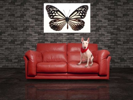 Tablou Canvas Fluturas