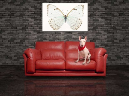 Tablou Canvas Fluturas