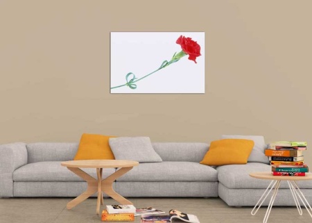 Tablou Canvas Garoafa