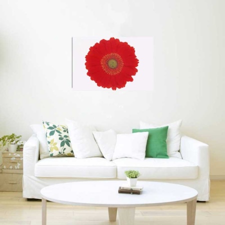 Tablou Canvas gerbera