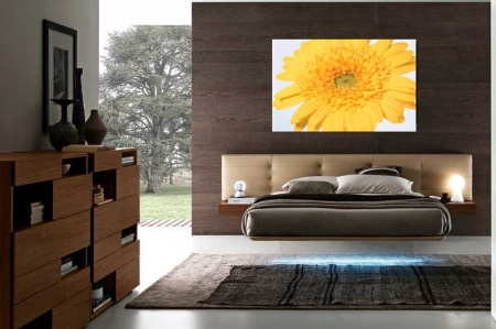 Tablou Canvas gerbera
