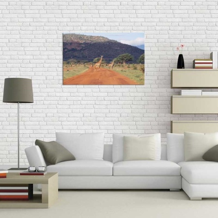 Tablou Canvas Girafe