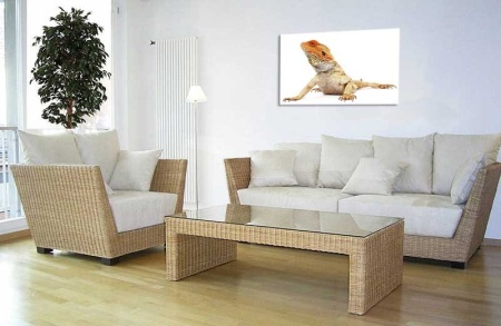 Tablou Canvas Iguana