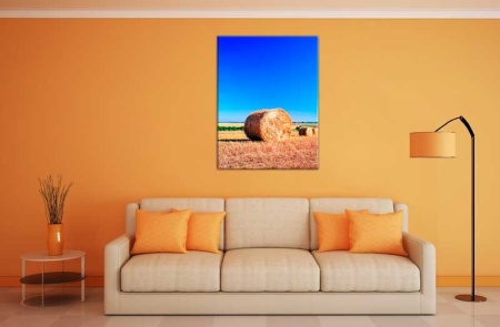 Tablou Canvas Natura Grau