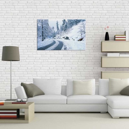 Tablou Canvas Padure iarna