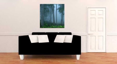 Tablou Canvas Padure