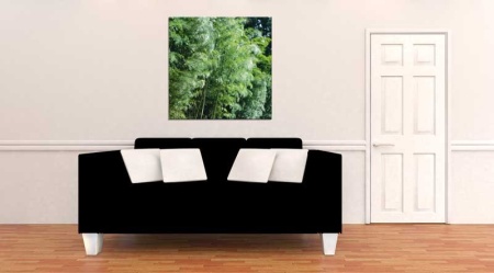 Tablou Canvas Padure
