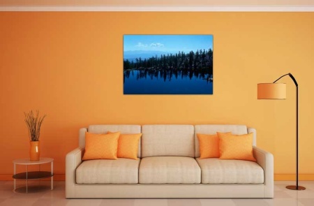 Tablou Canvas Padure