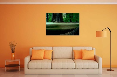 Tablou Canvas Padure