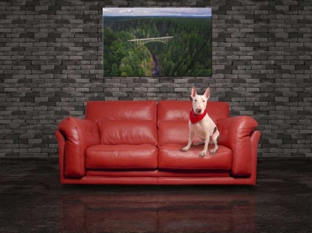 Tablou Canvas Podul dintre Brazi