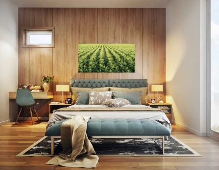 Tablou Canvas Porumb