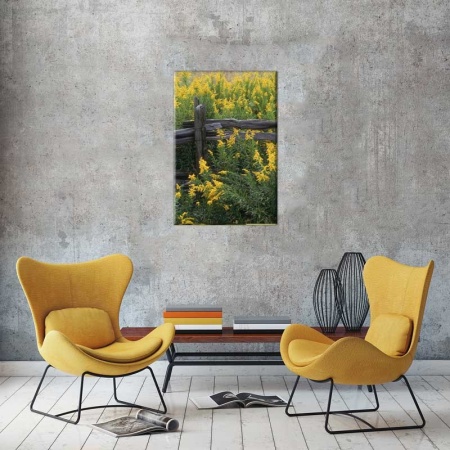 Tablou Canvas Primavara
