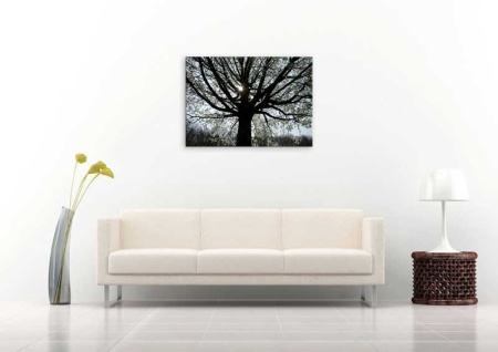 Tablou Canvas Primavara