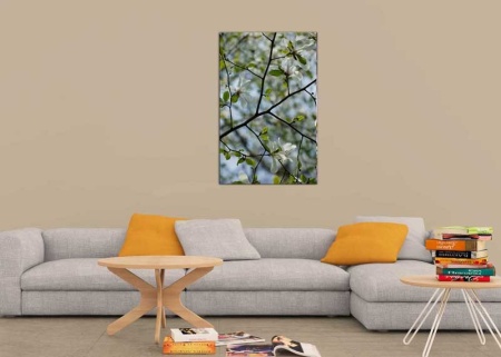 Tablou Canvas Primavara
