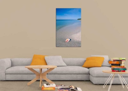 Tablou Canvas Scoica