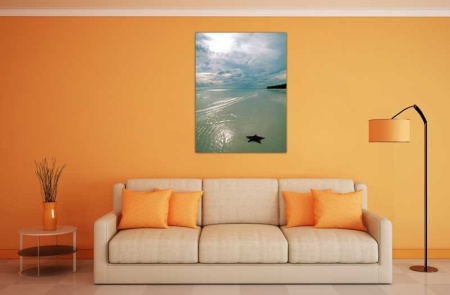 Tablou Canvas Stea de Mare