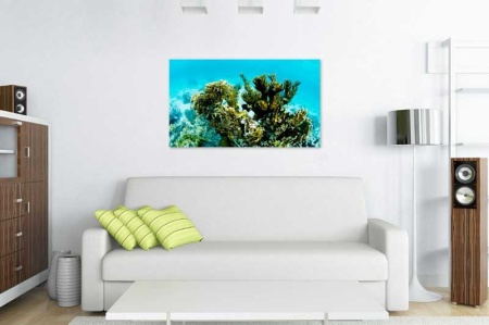 Tablou Canvas Viata Subacvatica