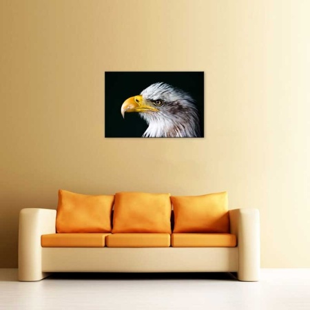 Tablou Canvas Vultur
