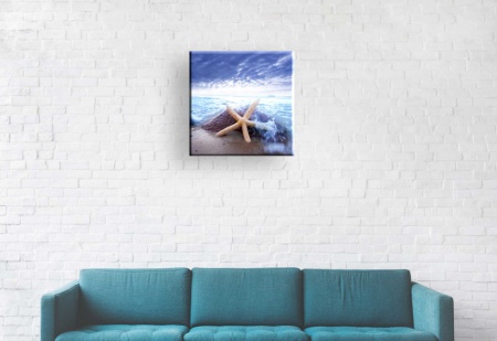 Stea de mare - Tablou Canvas natura