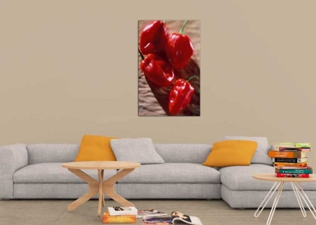 Tablou Canvas Ardei Gras