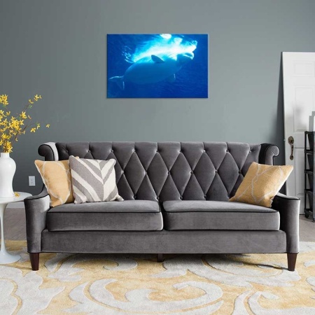 Tablou Canvas Balena Polara