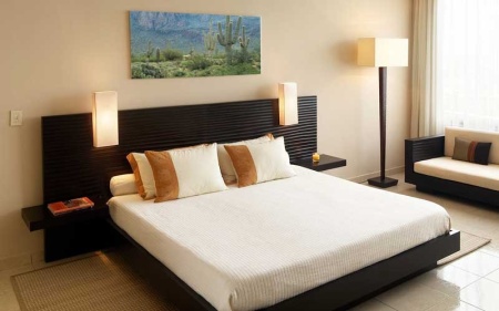 Tablou Canvas Cactusi
