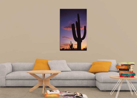 Tablou Canvas Cactus
